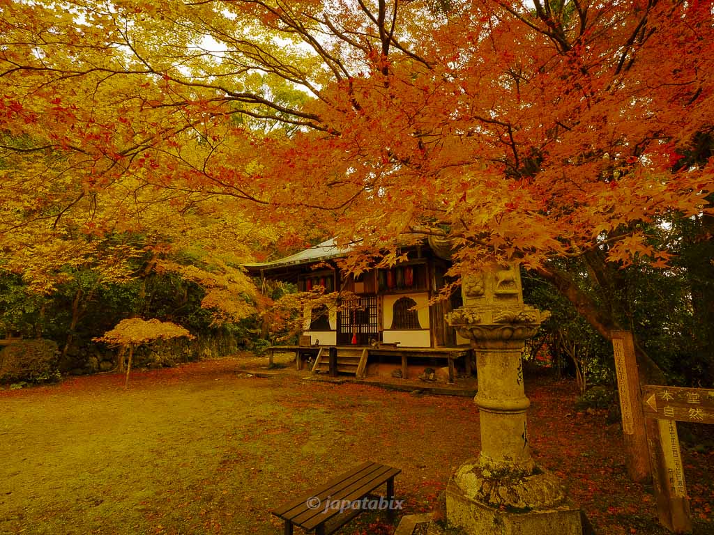 京都 金蔵寺 護摩堂の紅葉