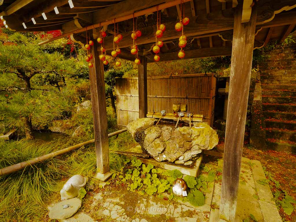 京都 金蔵寺 手水舎