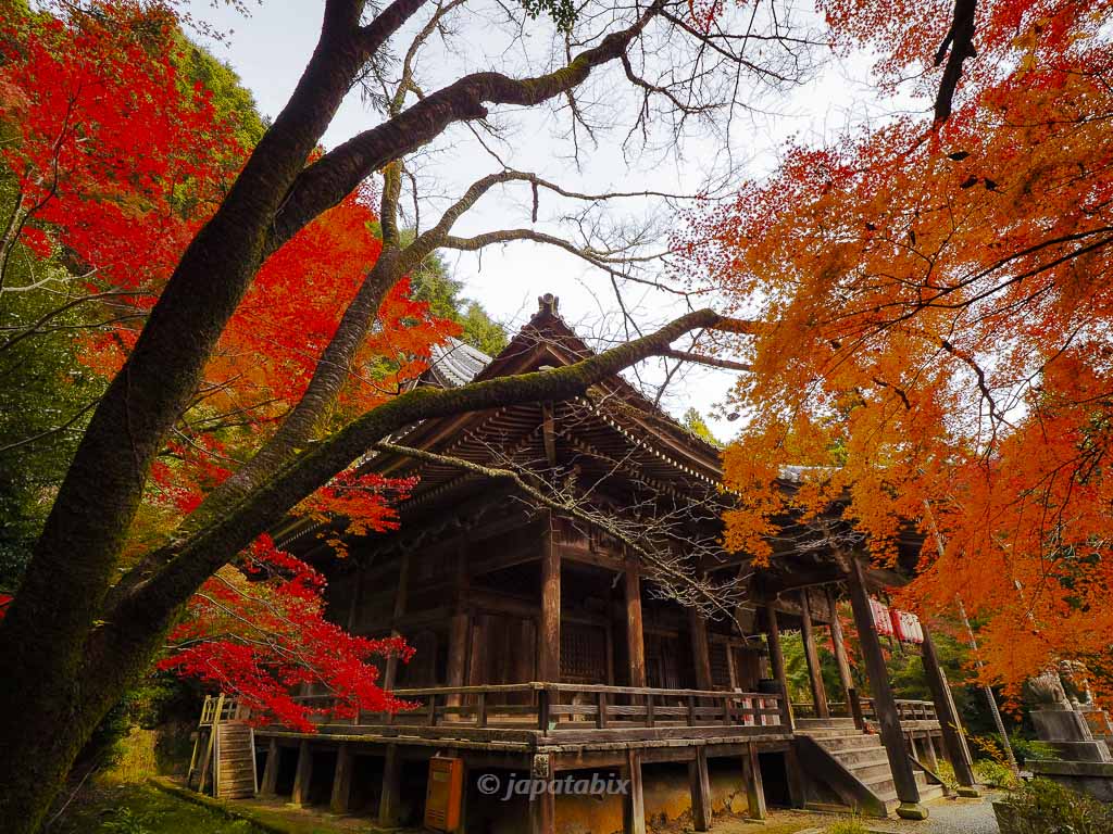 京都 金蔵寺 本堂