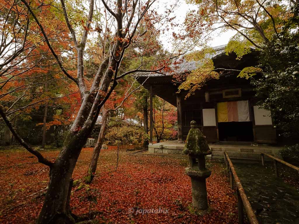 京都 蓮華寺の紅葉