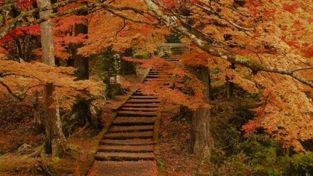 京都 龍穏寺の紅葉