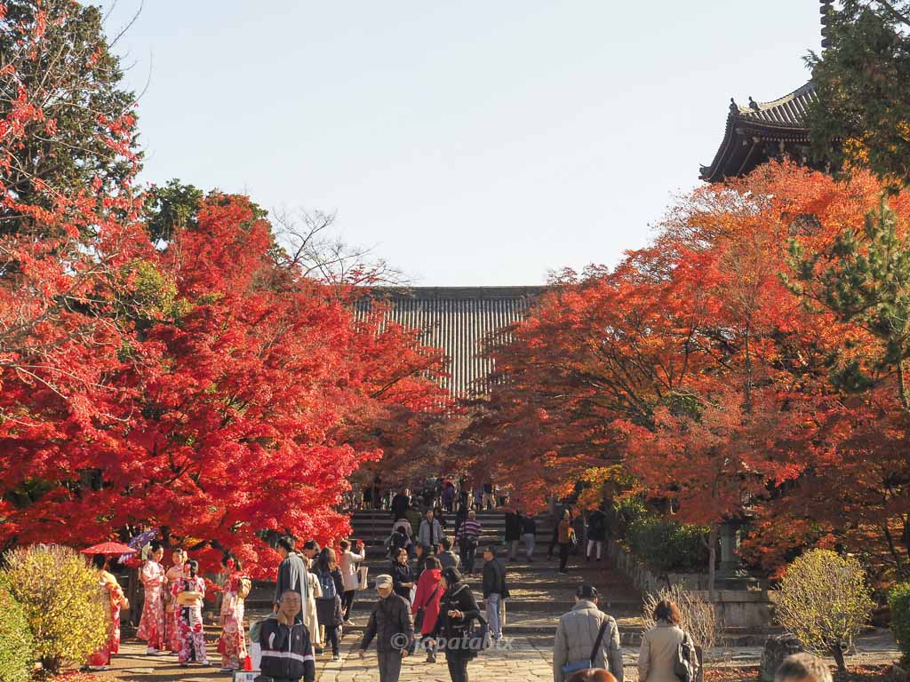 京都 真如堂（真正極楽寺）の紅葉