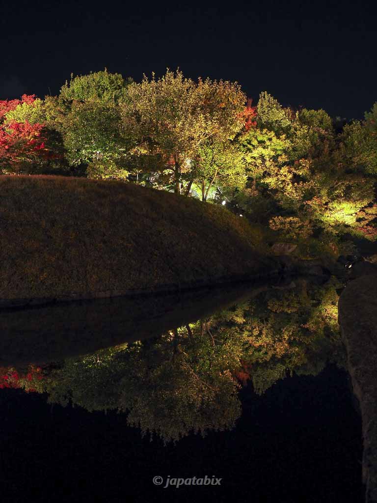 京都 梅小路公園の紅葉まつり 朱雀の庭のリフレクション