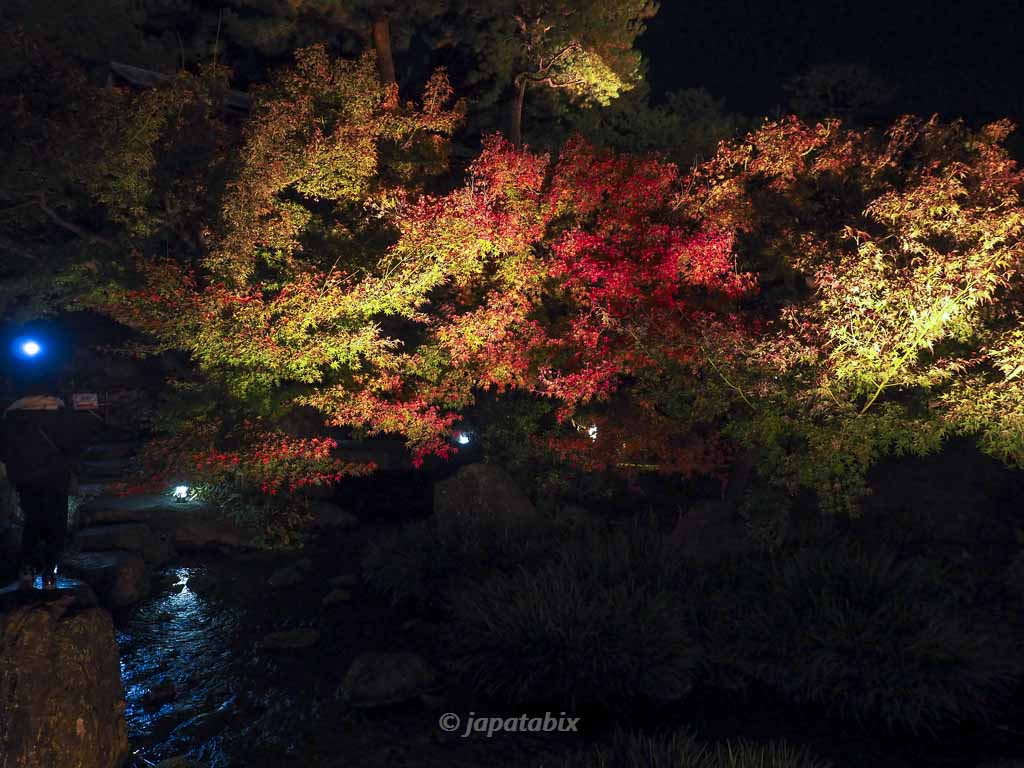 京都 梅小路公園の紅葉まつり 朱雀の庭