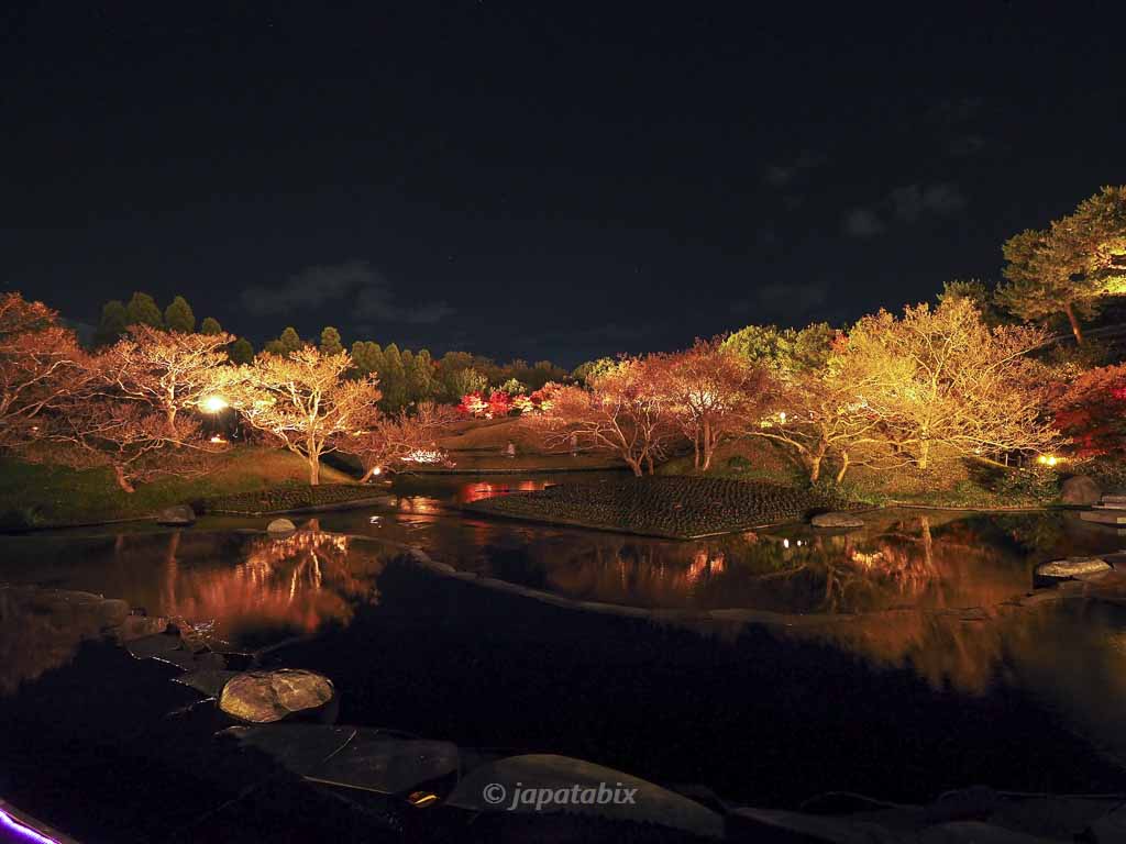 京都 梅小路公園の紅葉まつり 朱雀の庭
