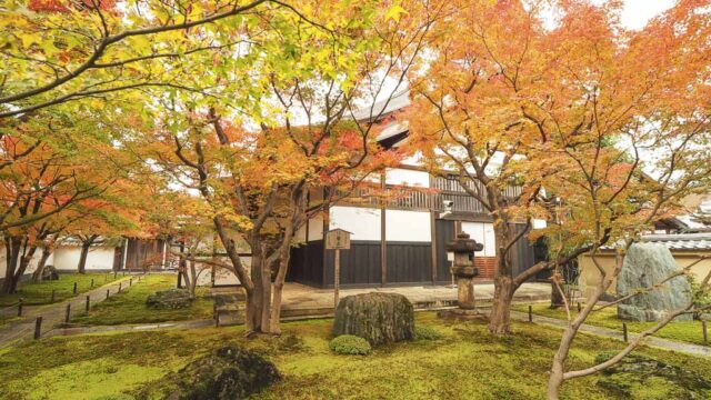京都 大徳寺 黄梅院の紅葉