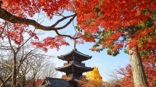 京都 真如堂の紅葉