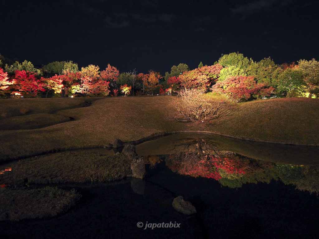 京都 梅小路公園の紅葉ライトアップ