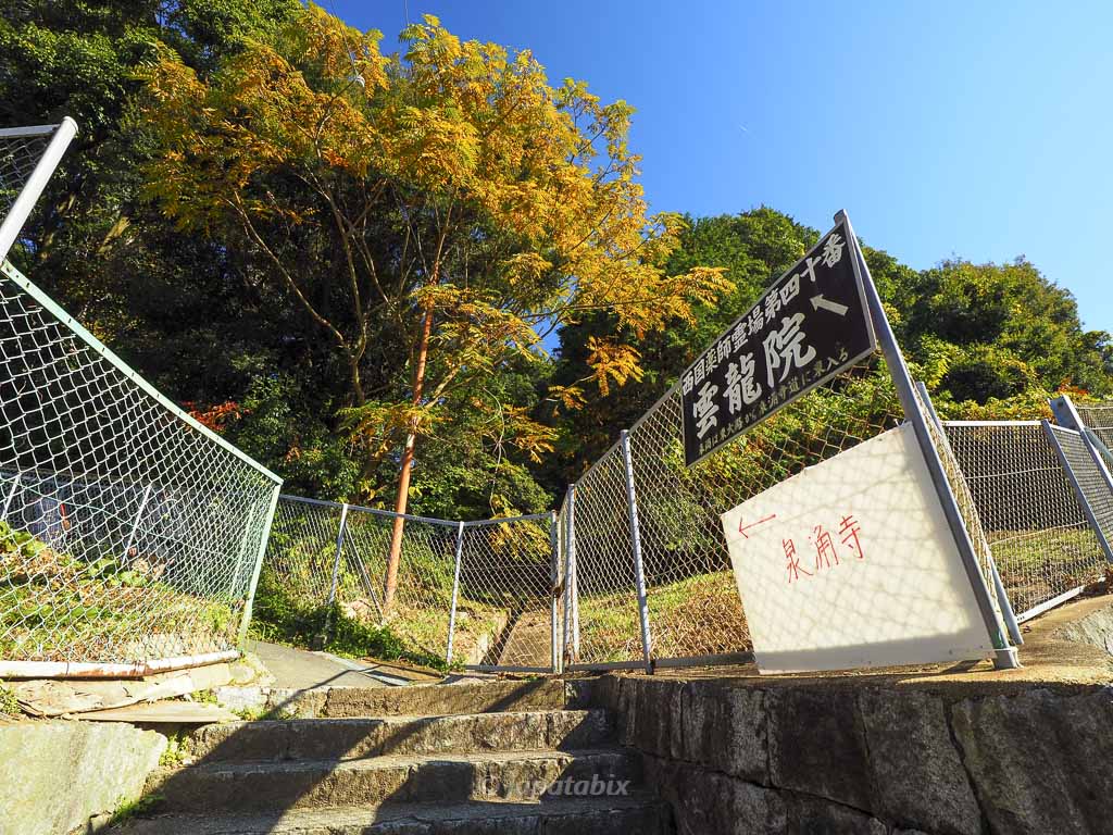 京都 雲龍院まで徒歩で行く