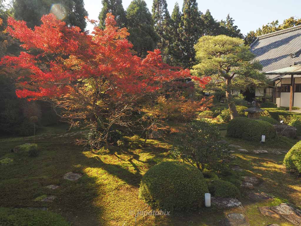 京都 雲龍院の紅葉