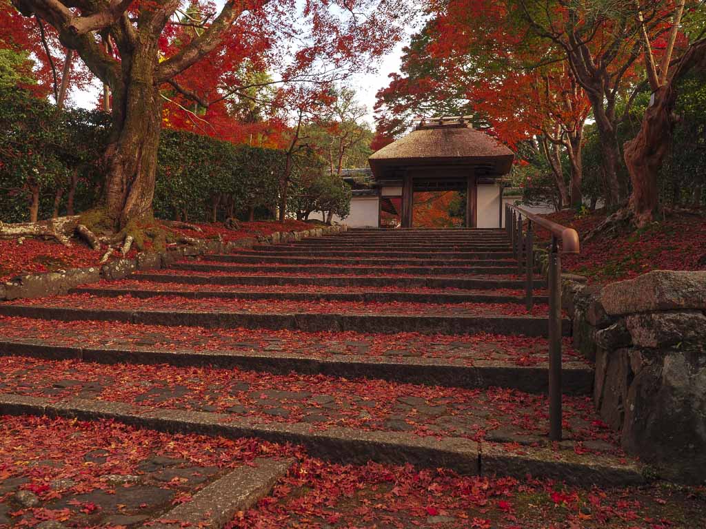京都 安楽寺の紅葉