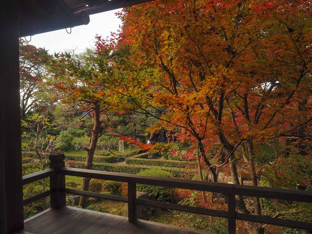 秋の安楽寺 紅葉の景色