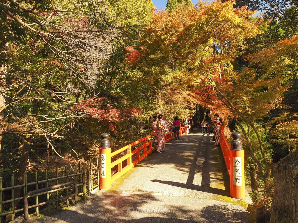 今熊野観音寺 鳥居橋の紅葉