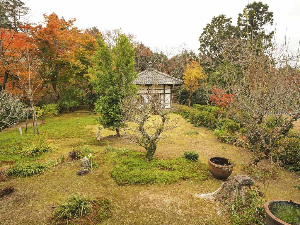 京都 曼殊院門跡 枯山水庭園の紅葉