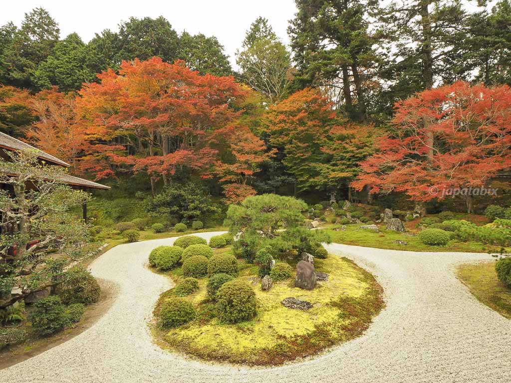 京都 曼殊院門跡 枯山水庭園の紅葉